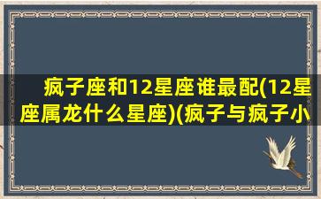 疯子座和12星座谁最配(12星座属龙什么星座)(疯子与疯子小说)