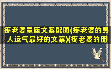 疼老婆星座文案配图(疼老婆的男人运气最好的文案)(疼老婆的朋友圈)