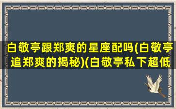 白敬亭跟郑爽的星座配吗(白敬亭追郑爽的揭秘)(白敬亭私下超低调探班郑爽)