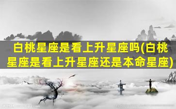 白桃星座是看上升星座吗(白桃星座是看上升星座还是本命星座)