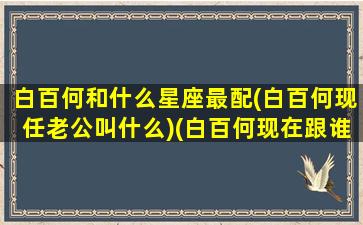 白百何和什么星座最配(白百何现任老公叫什么)(白百何现在跟谁在一起)