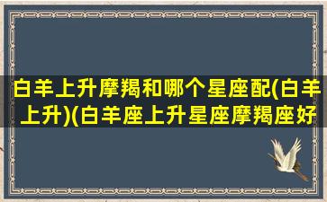 白羊上升摩羯和哪个星座配(白羊上升)(白羊座上升星座摩羯座好吗)