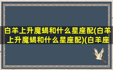 白羊上升魔蝎和什么星座配(白羊上升魔蝎和什么星座配)(白羊座上升星座摩羯座好吗)