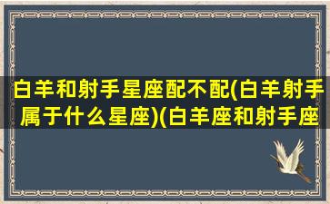 白羊和射手星座配不配(白羊射手属于什么星座)(白羊座和射手座配不配搭档呢)