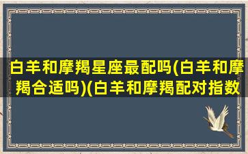 白羊和摩羯星座最配吗(白羊和摩羯合适吗)(白羊和摩羯配对指数)