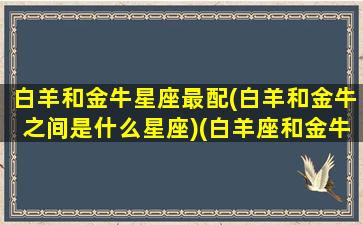 白羊和金牛星座最配(白羊和金牛之间是什么星座)(白羊座和金牛星座配吗)