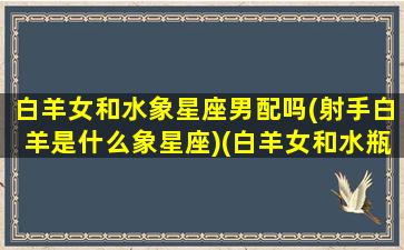 白羊女和水象星座男配吗(射手白羊是什么象星座)(白羊女和水瓶男座配对指数)