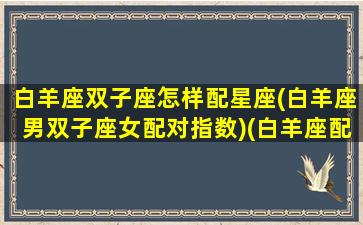 白羊座双子座怎样配星座(白羊座男双子座女配对指数)(白羊座配双子座好吗)