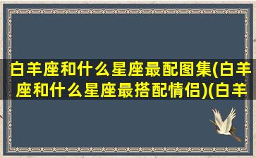 白羊座和什么星座最配图集(白羊座和什么星座最搭配情侣)(白羊座和什么星座最配啊)