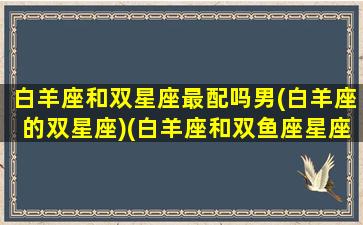 白羊座和双星座最配吗男(白羊座的双星座)(白羊座和双鱼座星座最配)