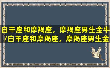 白羊座和摩羯座，摩羯座男生金牛/白羊座和摩羯座，摩羯座男生金牛-我的网站