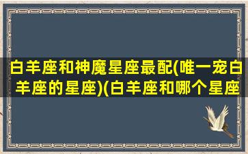 白羊座和神魔星座最配(唯一宠白羊座的星座)(白羊座和哪个星座最有默契)