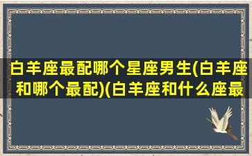 白羊座最配哪个星座男生(白羊座和哪个最配)(白羊座和什么座最配做男朋友)