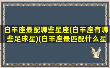 白羊座最配哪些星座(白羊座有哪些足球星)(白羊座最匹配什么星座)