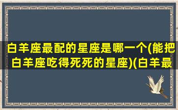 白羊座最配的星座是哪一个(能把白羊座吃得死死的星座)(白羊最配的星座是什么星座)