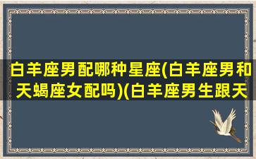 白羊座男配哪种星座(白羊座男和天蝎座女配吗)(白羊座男生跟天蝎座女生配吗)