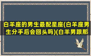 白羊座的男生最配星座(白羊座男生分手后会回头吗)(白羊男跟那个星座绝配)