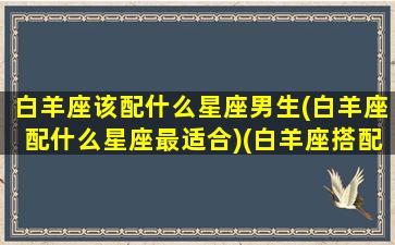 白羊座该配什么星座男生(白羊座配什么星座最适合)(白羊座搭配什么星座的男生)