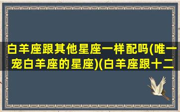 白羊座跟其他星座一样配吗(唯一宠白羊座的星座)(白羊座跟十二星座的配对比重)