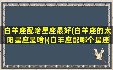 白羊座配啥星座最好(白羊座的太阳星座是啥)(白羊座配哪个星座)