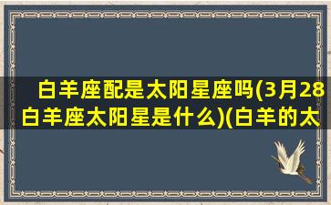 白羊座配是太阳星座吗(3月28白羊座太阳星是什么)(白羊的太阳和上升星座)