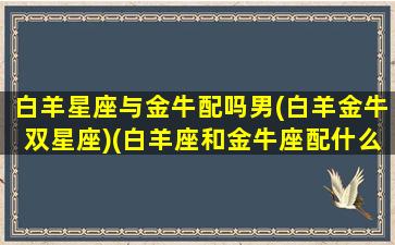 白羊星座与金牛配吗男(白羊金牛双星座)(白羊座和金牛座配什么星座)