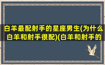 白羊最配射手的星座男生(为什么白羊和射手很配)(白羊和射手的匹配)