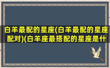 白羊最配的星座(白羊最配的星座配对)(白羊座最搭配的星座是什么星座)
