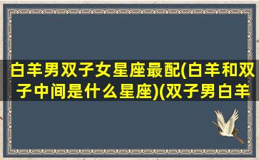 白羊男双子女星座最配(白羊和双子中间是什么星座)(双子男白羊女恋爱谁占上风)