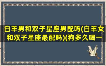 白羊男和双子星座男配吗(白羊女和双子星座最配吗)(狗多久喝一次奶)