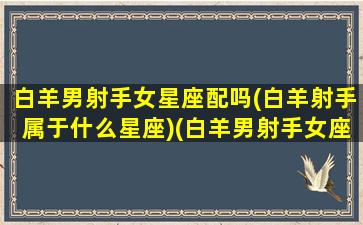 白羊男射手女星座配吗(白羊射手属于什么星座)(白羊男射手女座配对合适吗)