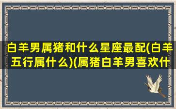 白羊男属猪和什么星座最配(白羊五行属什么)(属猪白羊男喜欢什么样女生)