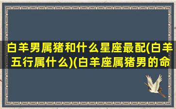 白羊男属猪和什么星座最配(白羊五行属什么)(白羊座属猪男的命运)