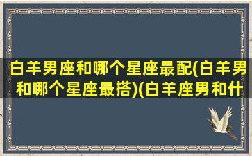 白羊男座和哪个星座最配(白羊男和哪个星座最搭)(白羊座男和什么座最配对)