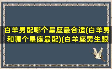 白羊男配哪个星座最合适(白羊男和哪个星座最配)(白羊座男生跟什么座配)