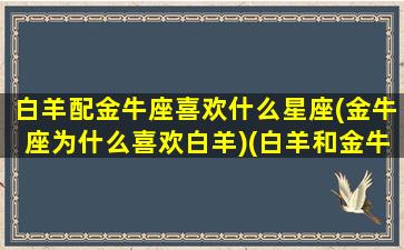 白羊配金牛座喜欢什么星座(金牛座为什么喜欢白羊)(白羊和金牛恋爱)