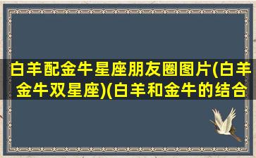 白羊配金牛星座朋友圈图片(白羊金牛双星座)(白羊和金牛的结合体)