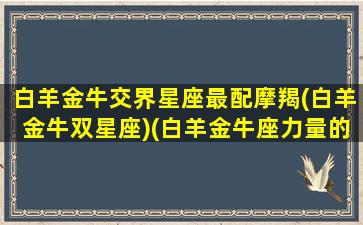 白羊金牛交界星座最配摩羯(白羊金牛双星座)(白羊金牛座力量的交界)