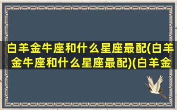 白羊金牛座和什么星座最配(白羊金牛座和什么星座最配)(白羊金牛座的最佳配对)