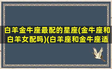 白羊金牛座最配的星座(金牛座和白羊女配吗)(白羊座和金牛座适合做夫妻吗)