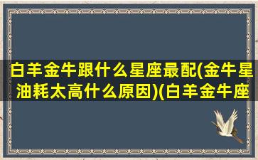 白羊金牛跟什么星座最配(金牛星油耗太高什么原因)(白羊金牛座配不配)