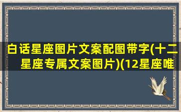 白话星座图片文案配图带字(十二星座专属文案图片)(12星座唯美图)