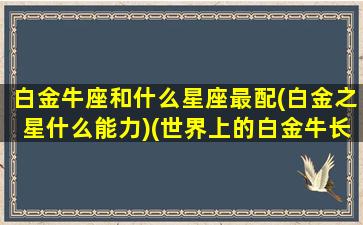 白金牛座和什么星座最配(白金之星什么能力)(世界上的白金牛长什么样呢)