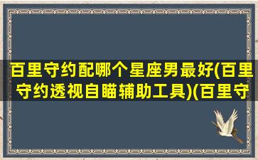 百里守约配哪个星座男最好(百里守约透视自瞄辅助工具)(百里守约配谁)