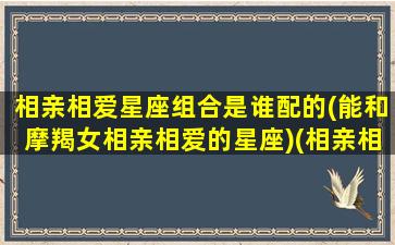 相亲相爱星座组合是谁配的(能和摩羯女相亲相爱的星座)(相亲相爱最浪漫)