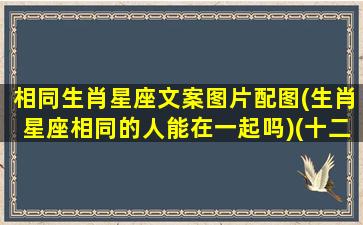 相同生肖星座文案图片配图(生肖星座相同的人能在一起吗)(十二生肖与星座结合对应的性格)