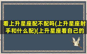 看上升星座配不配吗(上升星座射手和什么配)(上升星座看自己的另一半)
