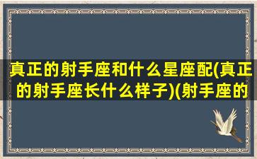 真正的射手座和什么星座配(真正的射手座长什么样子)(射手座的人和什么星座的人最般配)