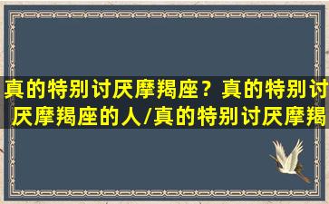 真的特别讨厌摩羯座？真的特别讨厌摩羯座的人/真的特别讨厌摩羯座？真的特别讨厌摩羯座的人-我的网站