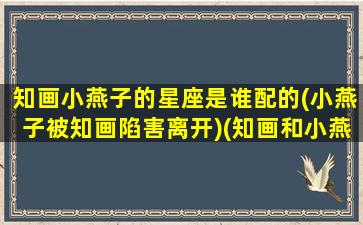 知画小燕子的星座是谁配的(小燕子被知画陷害离开)(知画和小燕子为什么不能和平共处)